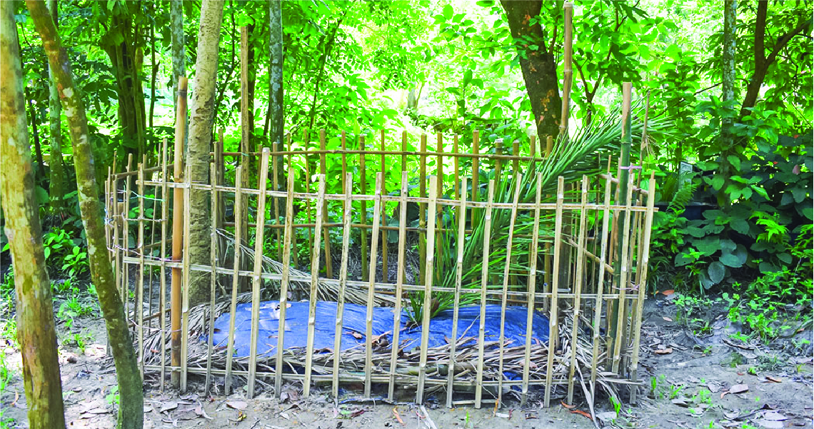 Image of মো: লাল মিয়া